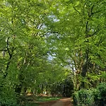 Appartement Oase Wald Und