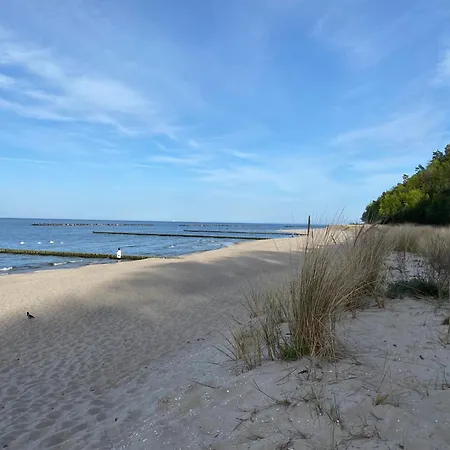 Oase Wald Und Koserow