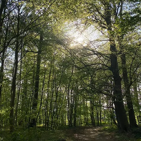 Oase Wald Und Koserow