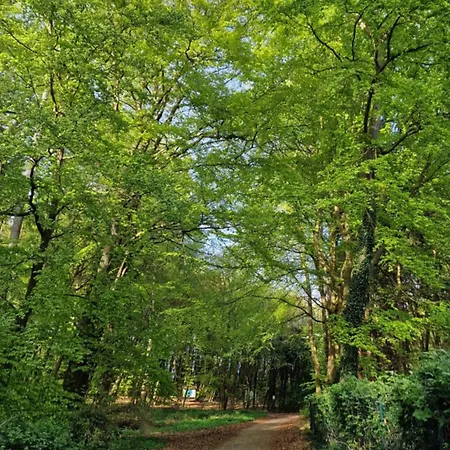 Апартаменты Oase Wald Und