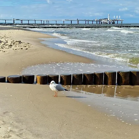 Oase Wald Und شقة