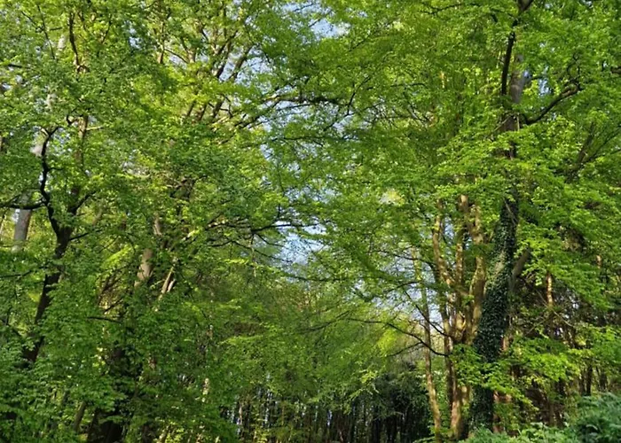 아파트 Oase Wald Und